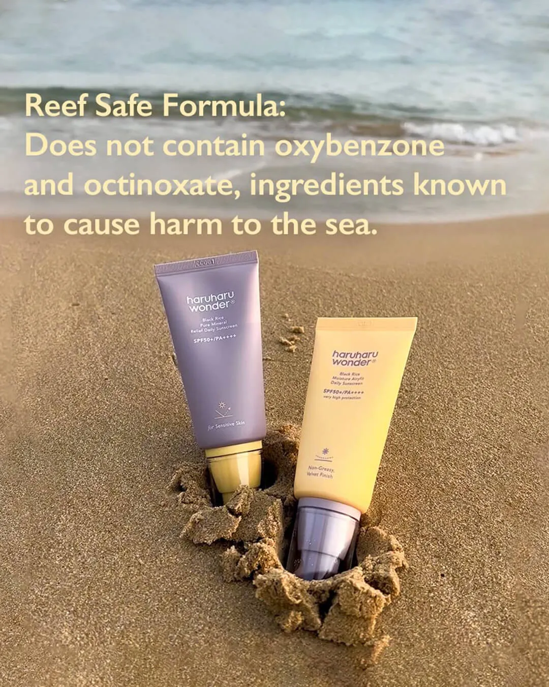 haruharu wonder Black Rice Moisture Airyfit Daily Sunscreen
