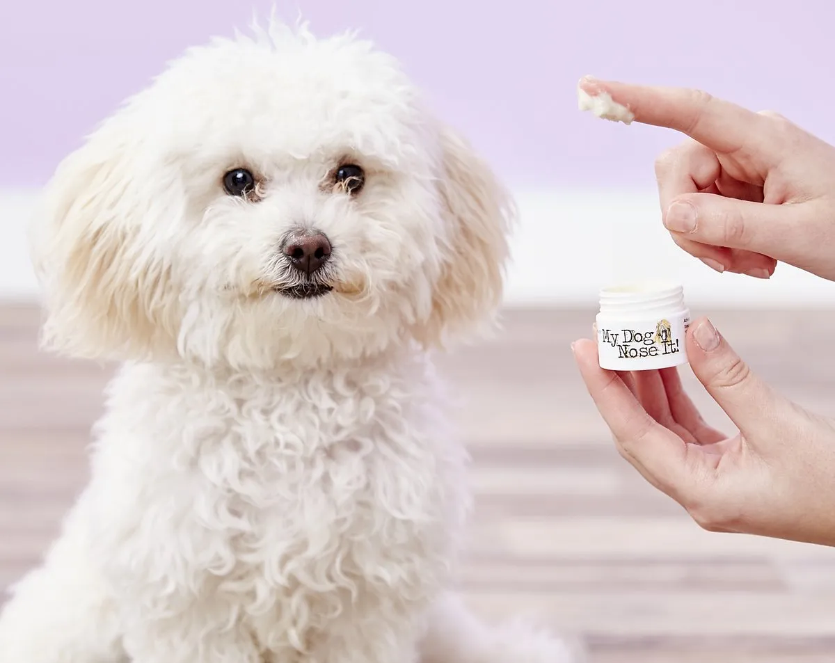 My Dog Nose It Sunscreen 0.5oz