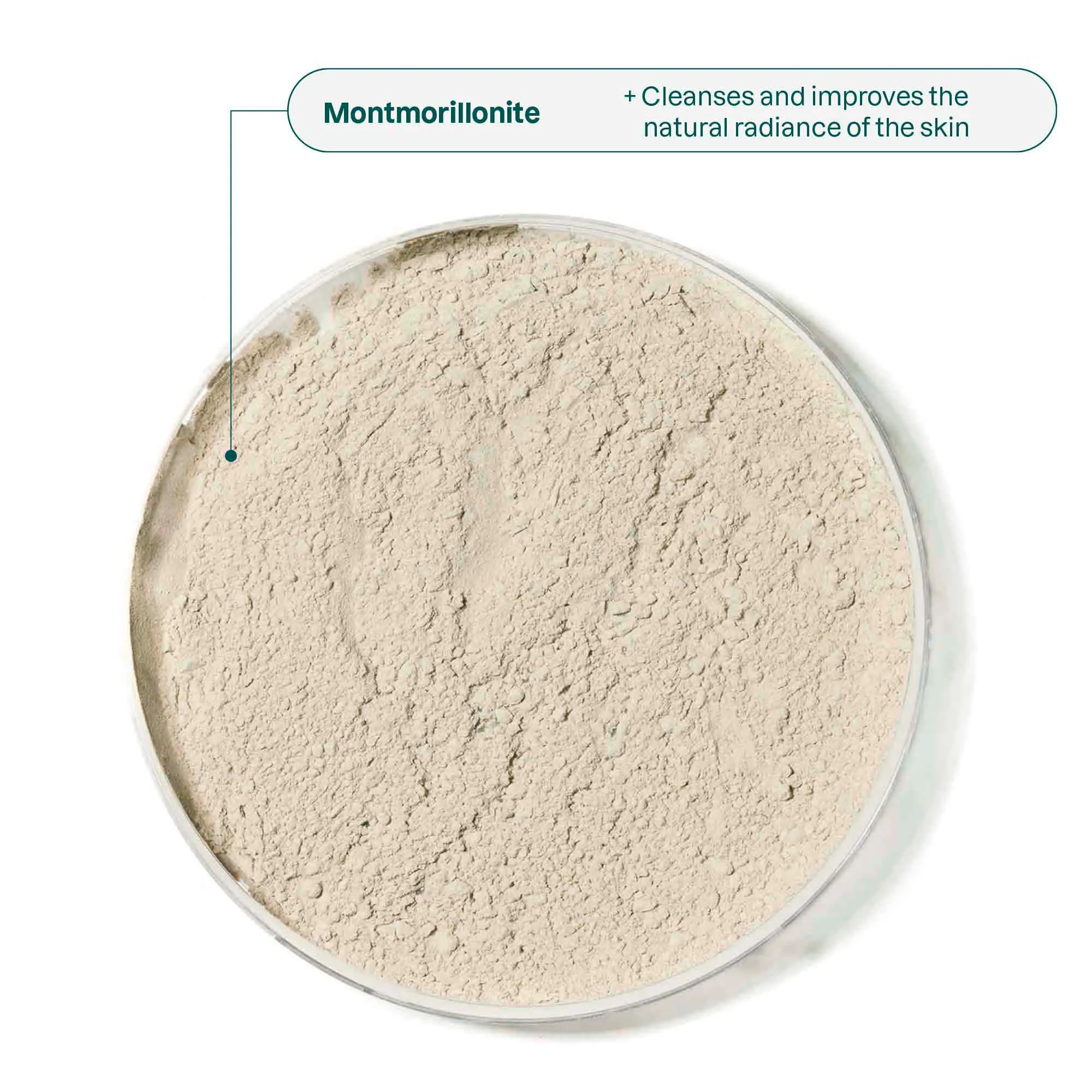 Purifying Solid Mask with Blue Clay : Oceanly - Phyto-Cleanse
