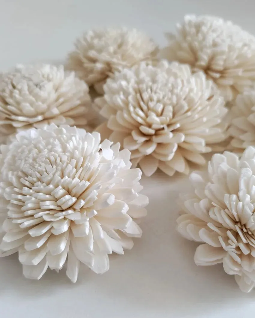 Rubel Sholapith DIY Flower Bunch Bunch | Vase Not Included | 12 Flower Heads