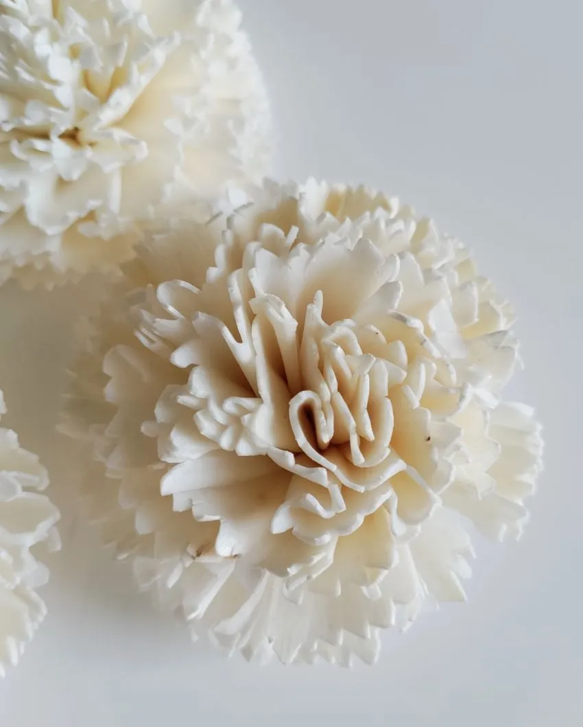 Rubel Sholapith DIY Flower Bunch Bunch | Vase Not Included | 12 Flower Heads