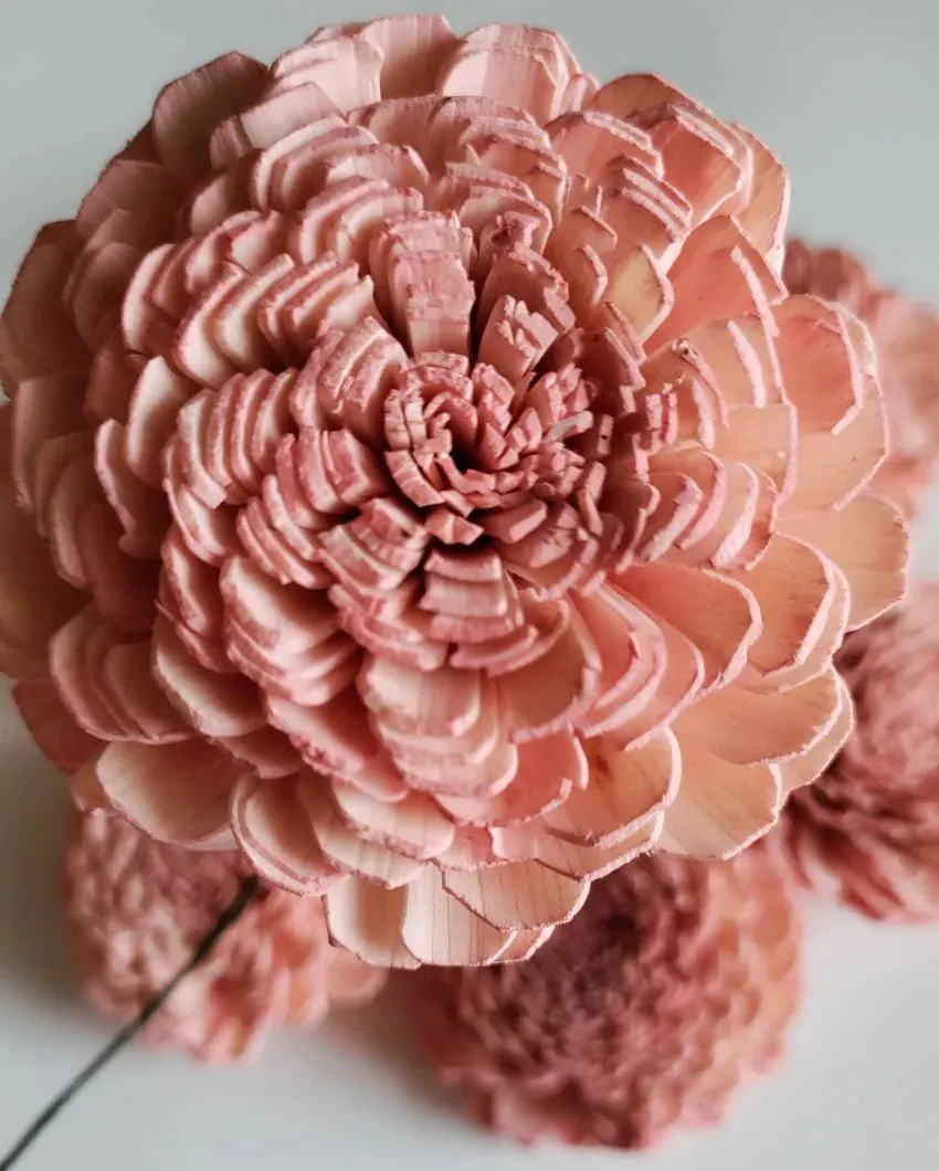 Rubel Sholapith DIY Flower Bunch Bunch | Vase Not Included | 12 Flower Heads