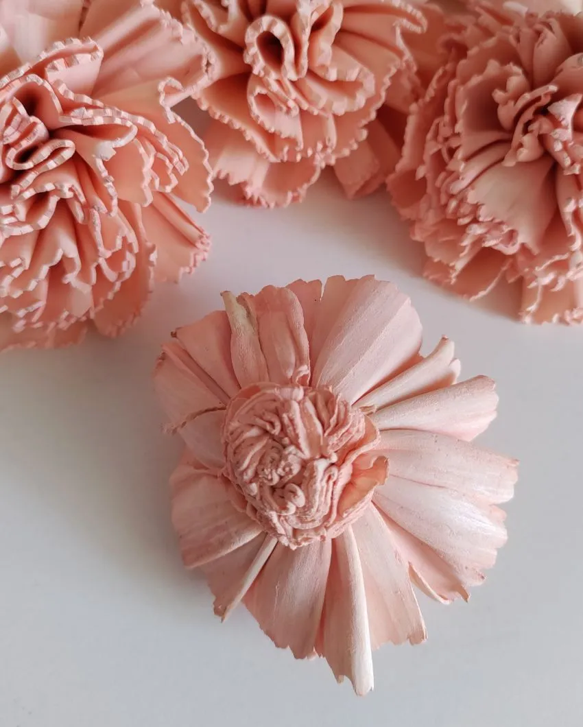 Rubel Sholapith DIY Flower Bunch Bunch | Vase Not Included | 12 Flower Heads