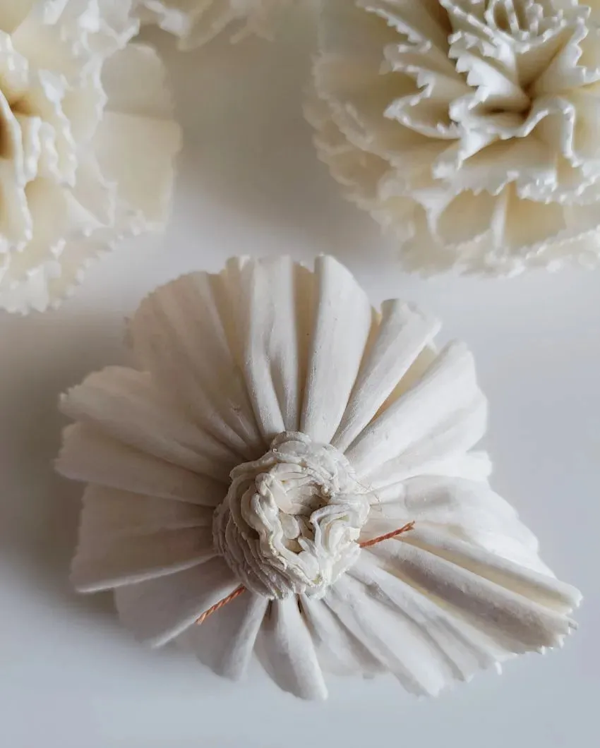 Rubel Sholapith DIY Flower Bunch Bunch | Vase Not Included | 12 Flower Heads