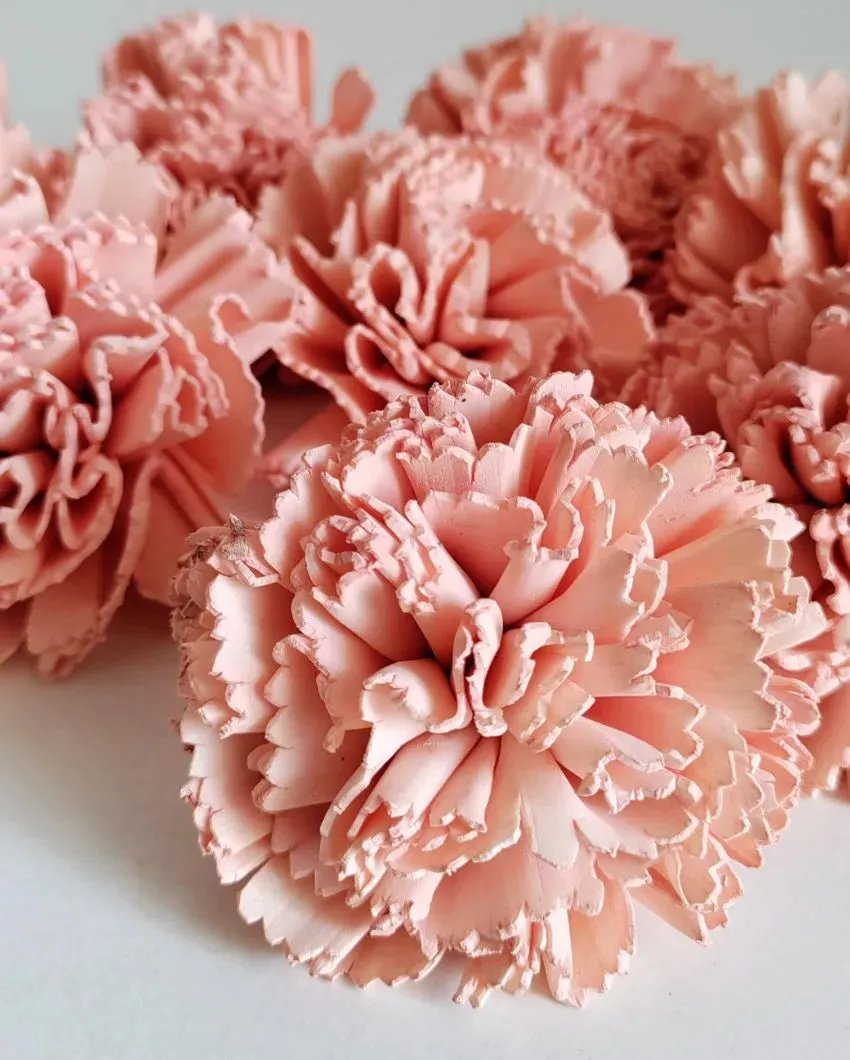 Rubel Sholapith DIY Flower Bunch Bunch | Vase Not Included | 12 Flower Heads