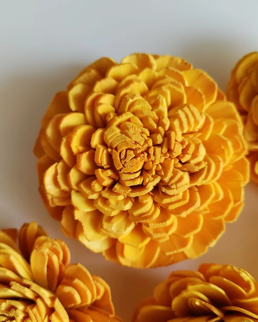 Rubel Sholapith DIY Flower Bunch Bunch | Vase Not Included | 12 Flower Heads