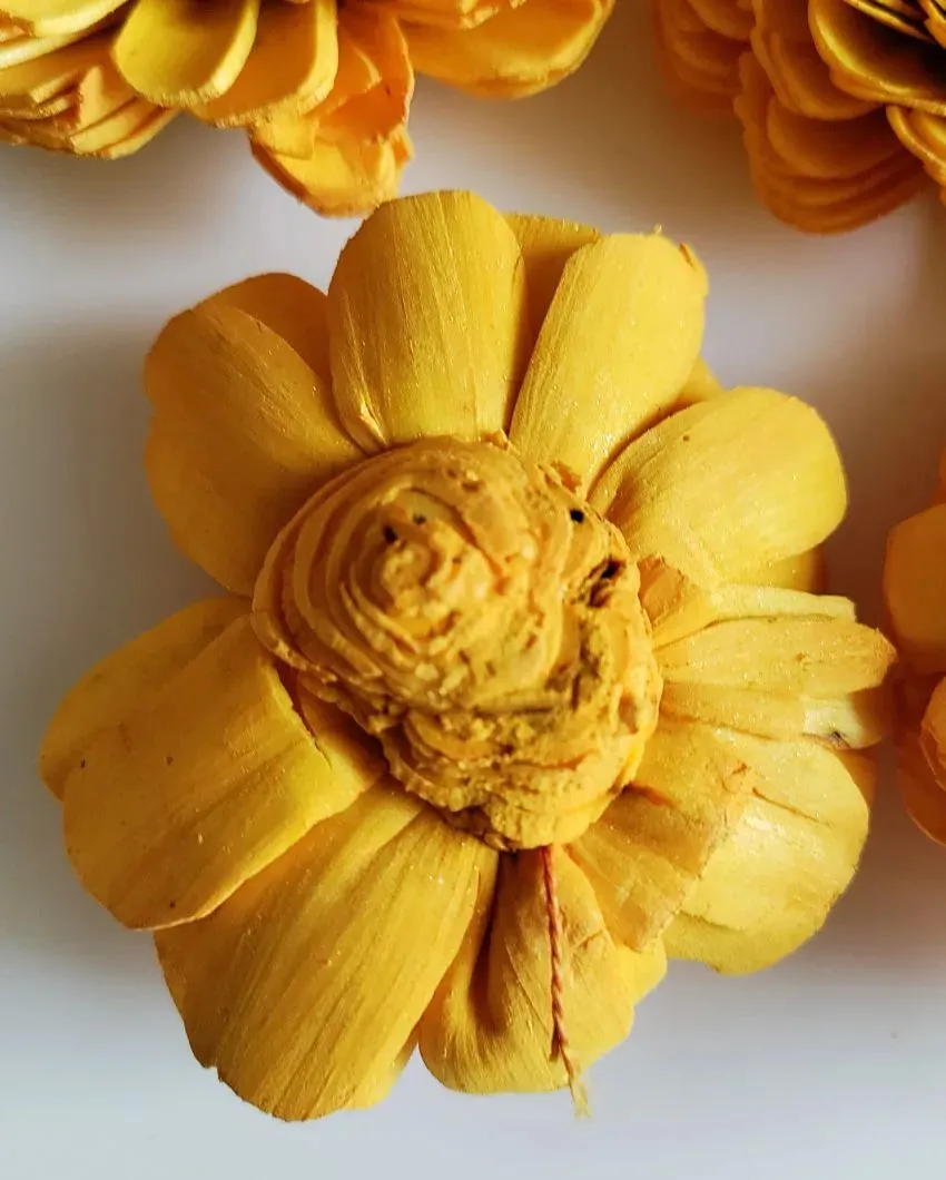 Rubel Sholapith DIY Flower Bunch Bunch | Vase Not Included | 12 Flower Heads