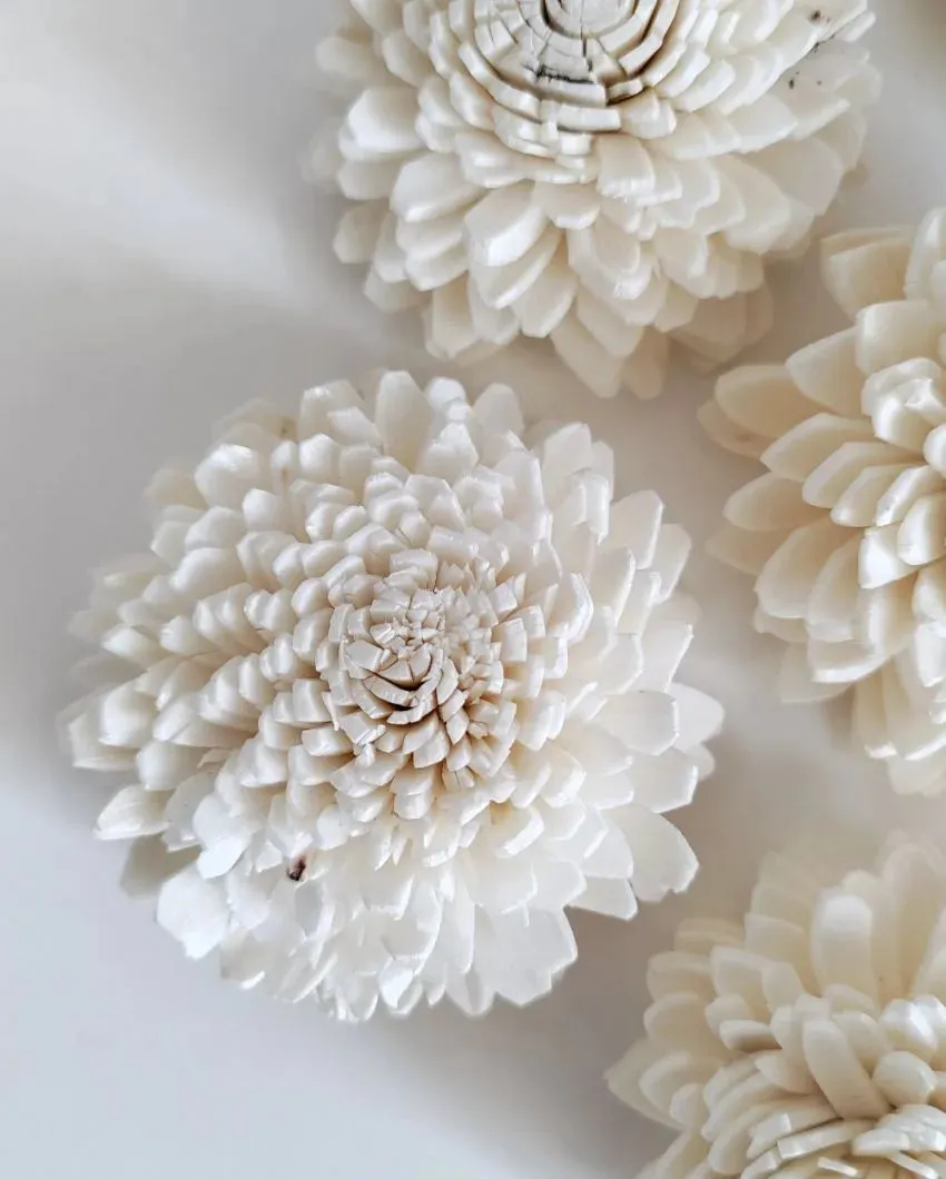 Rubel Sholapith DIY Flower Bunch Bunch | Vase Not Included | 12 Flower Heads