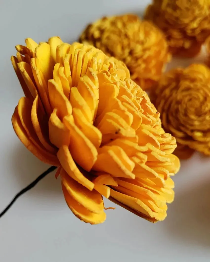 Rubel Sholapith DIY Flower Bunch Bunch | Vase Not Included | 12 Flower Heads