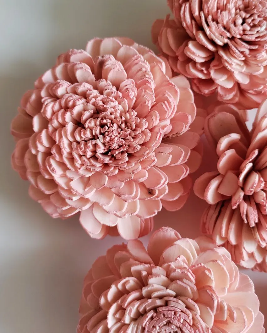 Rubel Sholapith DIY Flower Bunch Bunch | Vase Not Included | 12 Flower Heads