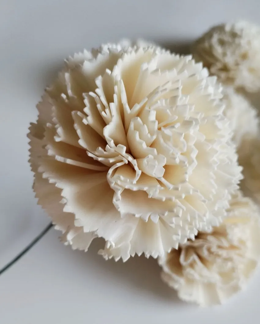 Rubel Sholapith DIY Flower Bunch Bunch | Vase Not Included | 12 Flower Heads