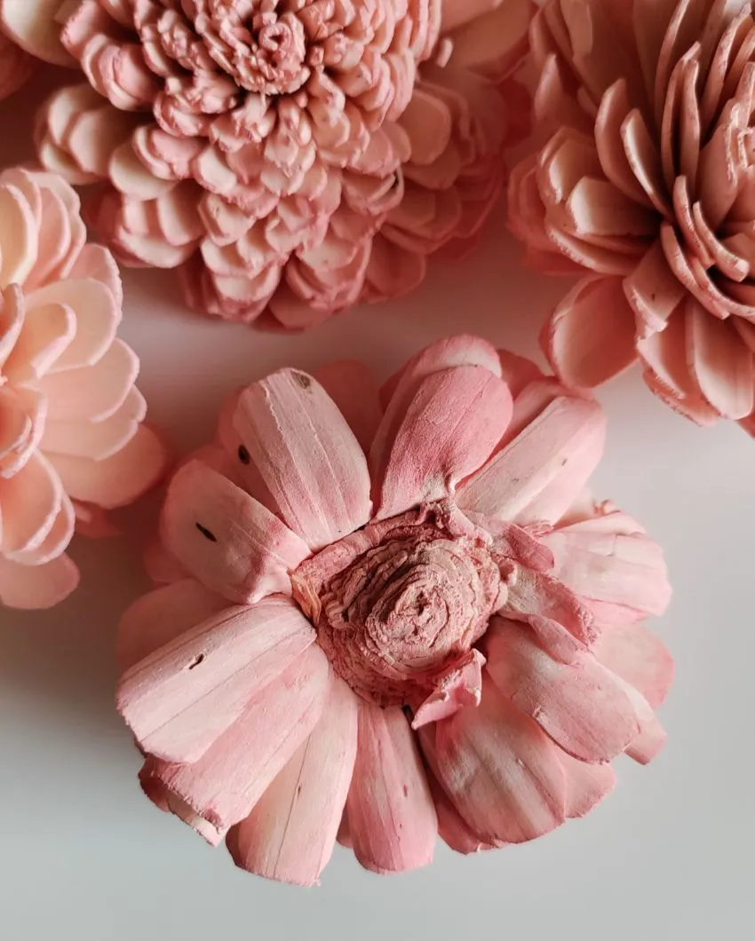 Rubel Sholapith DIY Flower Bunch Bunch | Vase Not Included | 12 Flower Heads