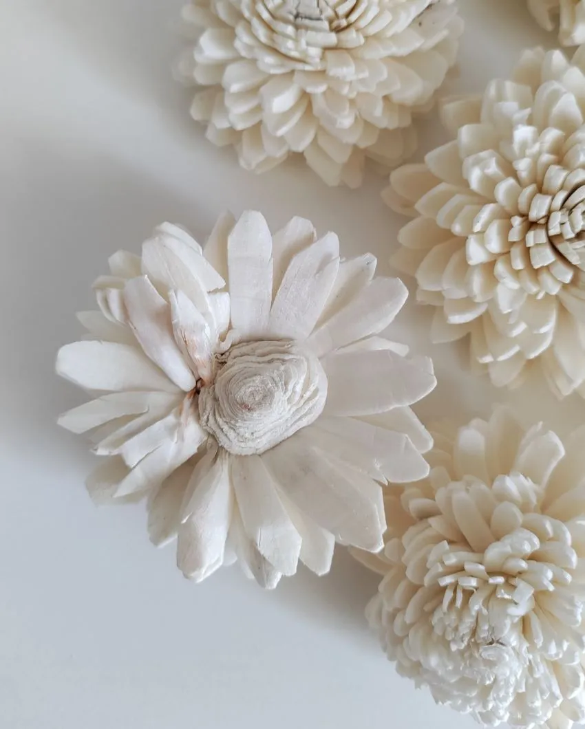 Rubel Sholapith DIY Flower Bunch Bunch | Vase Not Included | 12 Flower Heads